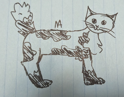 PXL 20230520 044442045.jpg