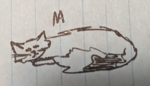 PXL 20230520 044449965.jpg