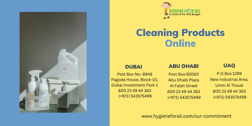 cleaning products online image.png