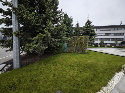 IMG 20230518 142223.jpg