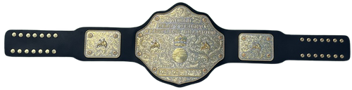  01WorldBelt 01 01.png