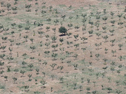 2023 05 17T040045Z 1082340951 RC2AW0ANZ54I RTRMADP 3 CLIMATE CHANGE EU DROUGHT 1684322270.png