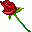 body cursor rose.gif