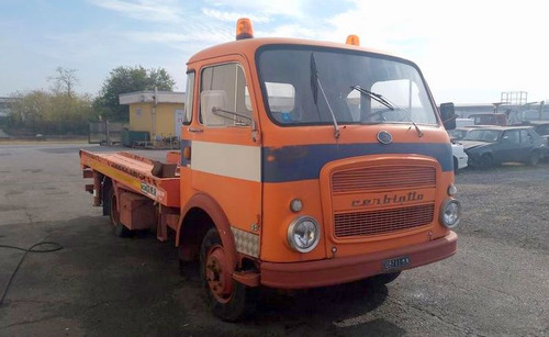 329179178 1405442476938787 2314075146230349616 n.jpg