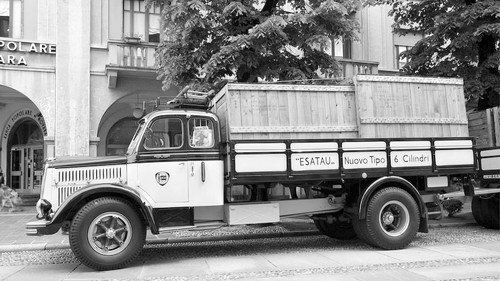 51223904972 2474f0b5a8 k.jpg