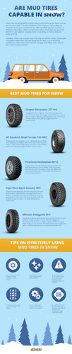 mud tires snow.jpg