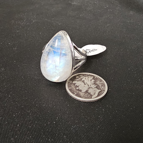 cropped 16847967776583272605425030002501.jpg