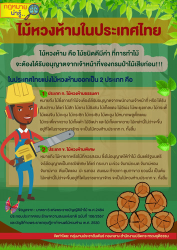 64 mnre forbidden wood thai.jpg