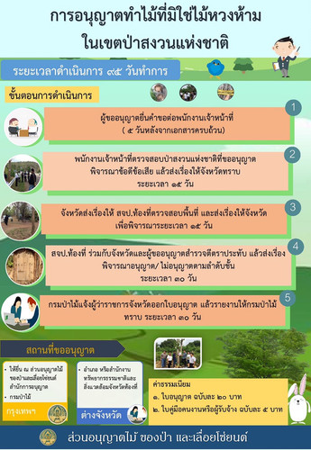 64 mnre logging wood forest.jpg