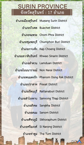 surin.jpg