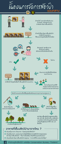 64 mnre wildlife exhibit mgt.jpg