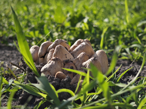 IMG 20230520 170657.jpg