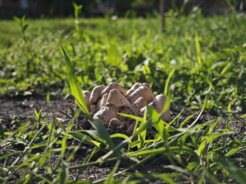 IMG 20230520 170643.jpg