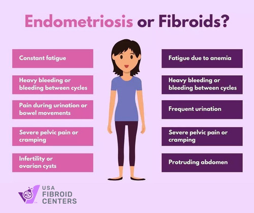 Endometriosis vs Fibroids.jpg