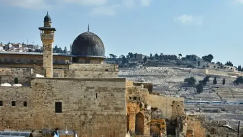 pic quark 1684727251396.webp