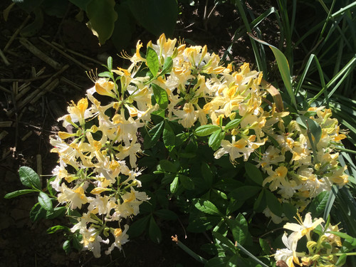 46EC2CCF 4551 451D 92A9 710844CFEA71.jpg