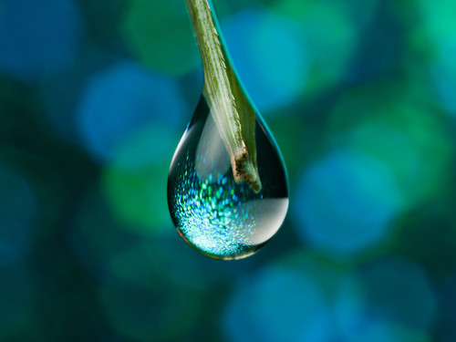 GettyImages 173404960 56a1348f5f9b58b7d0bd03bd.jpg