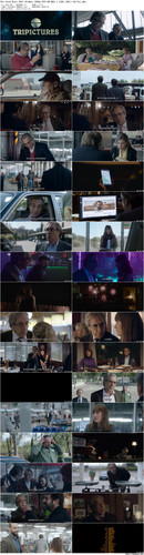 The.Good.Boss.2021.BluRay.1080p.DTS HD.MA5.1.x265.10bit BeiTai preview.jpg