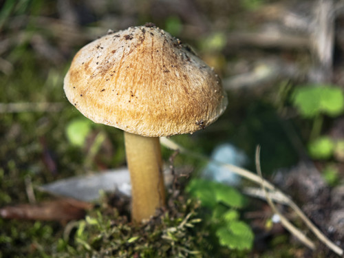 IMG 20230521 084037.jpg