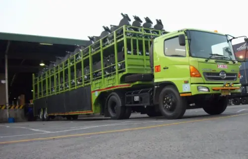 armada kmdi 1024x768 1aa 3549 178 t598 26.webp