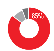 2021 annual report pie chart footer version.png