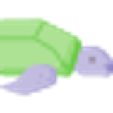 010 turtle