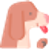 005 dog