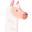 013 llama.png