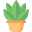 021 plant.png