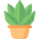 021 plant