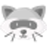018 raccoon