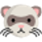 019 ferret