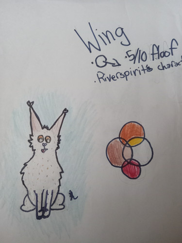 Riverspirit draft wing.jpg