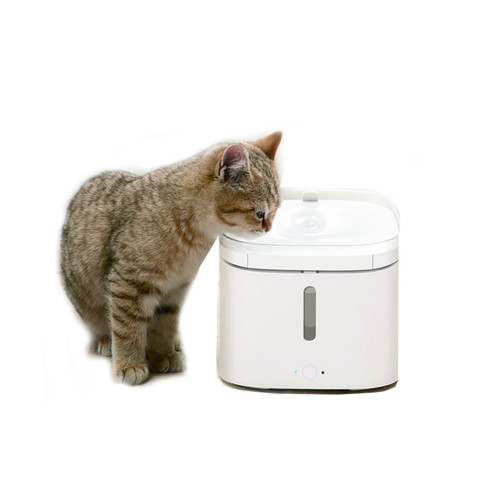 40 IAF G7 XIA PE002.jpg