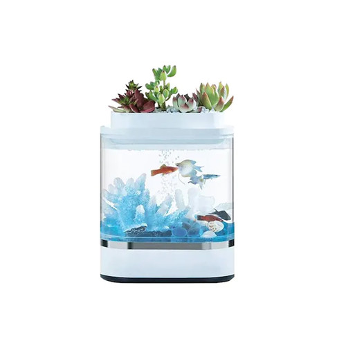 12 IAF G1 XIA ET004.jpg