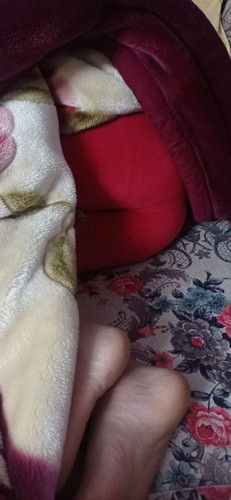photo ٢٠٢٣ ٠١ ٠٩ ١٤ ١٥ ٣٠.jpg