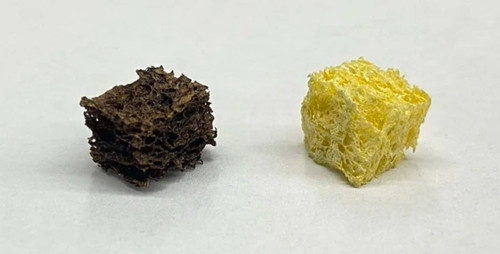 sem titulo 6 1536x779 1 21052023170354985.jpg