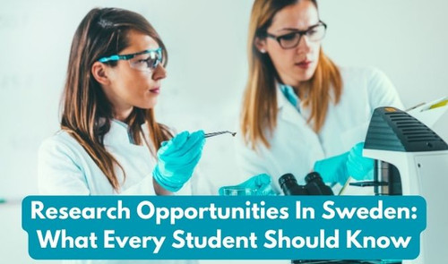 Research Opportunities in Sweden: What Every Student Should Know.jpg