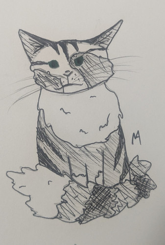 PXL 20230518 225418778.jpg