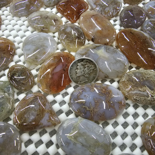 cropped 16849915521022470410840947527882.jpg