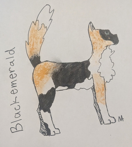 PXL 20230525 020925104