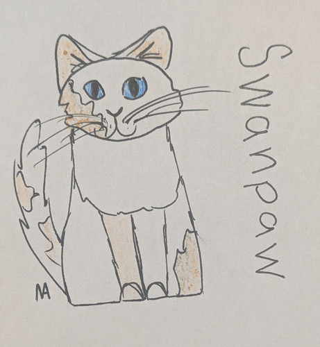 PXL 20230525 020844143.PORTRAIT.ORIGINAL.jpg