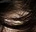 bite me 31.png