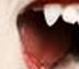 bite me 35.png