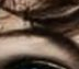 bite me 32.png