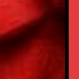 bite me 56