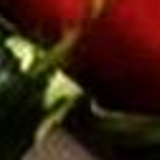 bite me 47
