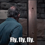 silence of the lambs fly fly fly small.gif