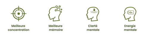 ldopa bienfaits cognitifs.png