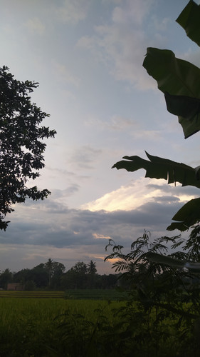 IMG 20230321 174053.jpg